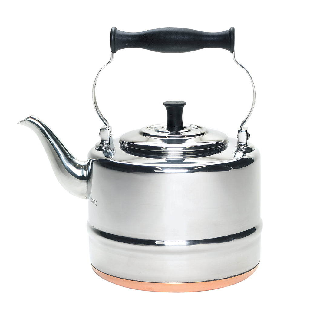 Bonjour Tea Voyager Glass Teapot Silver